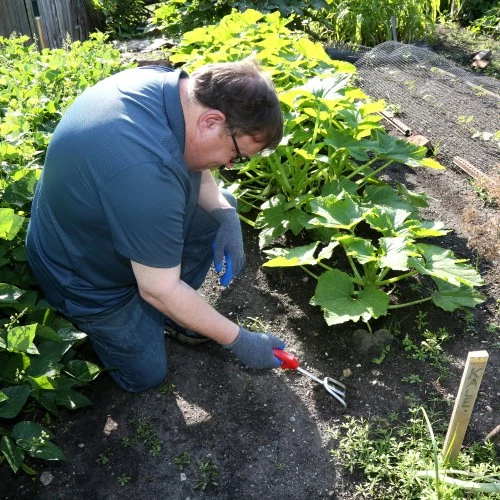 Man with disability gardening